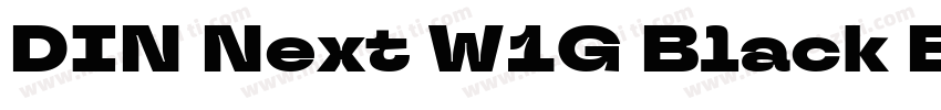 DIN Next W1G Black B字体转换
